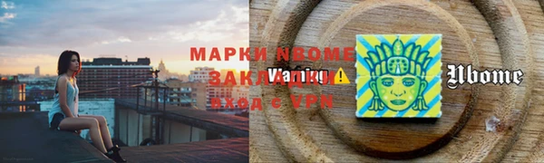 мдпв Карпинск