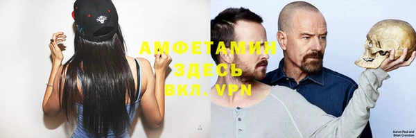 сатива Карталы