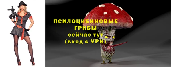 экстази Касимов