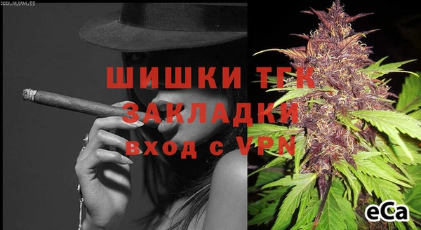 сатива Карталы