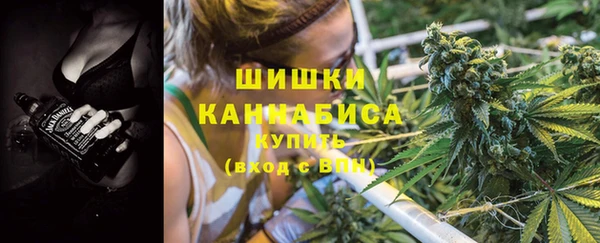 сатива Карталы
