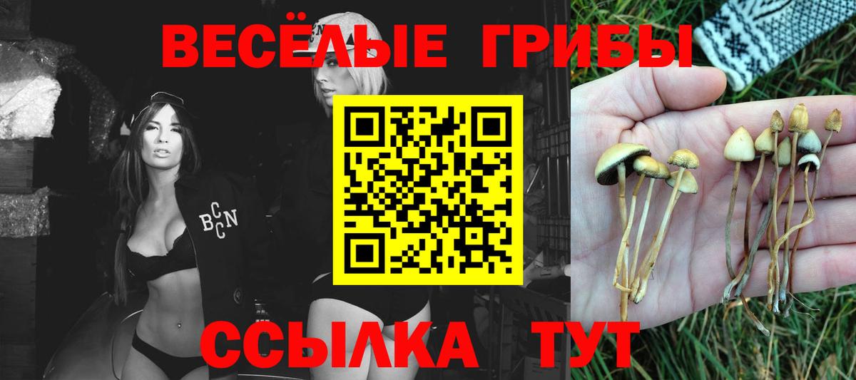 Коломна  Псилоцибиновые грибы ЛСД  Псилоцибиновые грибы Magic Shrooms  Вход с VPN 